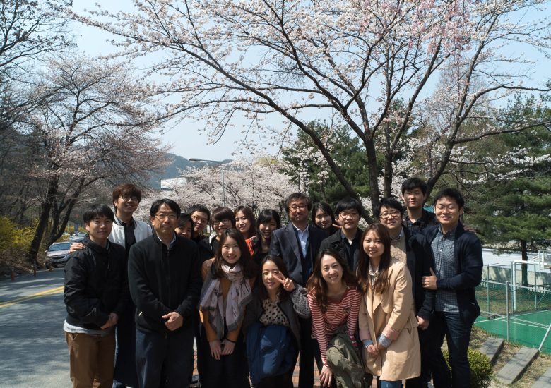 2015년 벚꽃 사진